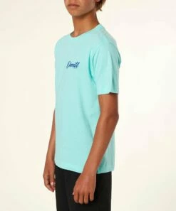 New 💯 O'Neill Mint Logo Bermuda Tee - Boys 🎁 -O'Neill Sales zu101352082 alt 3 tm1637338151