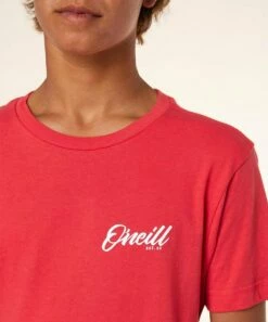 Deals 🥰 O'Neill Chili Pepper Logo Bermuda Tee - Boys 🔔 -O'Neill Sales zu101352085 alt 2 tm1637338151