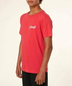 Deals 🥰 O'Neill Chili Pepper Logo Bermuda Tee - Boys 🔔 -O'Neill Sales zu101352085 alt 3 tm1637338151