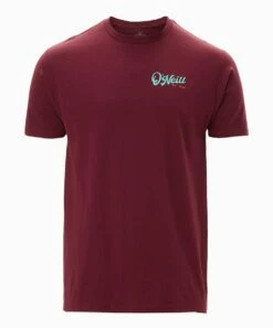 Best reviews of 🔥 O'Neill Burgundy Big League Tee - Men 😀