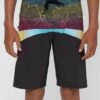 Coupon 🧨 O'Neill Purple & Black Hyperfreak Boardshorts - Boys 🎉
