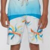 Best Pirce 🔔 O'Neill Cream & Blue Hyperfreak Boardshorts - Boys 😉 -O'Neill Sales zu106438768 main tm1655480299