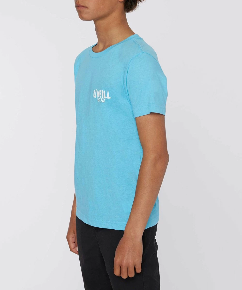 Best reviews of โจ O'Neill Aqua & White Oasis Crewneck Tee - Boys ๐ 5 Best reviews of โจ O'Neill Aqua & White Oasis Crewneck Tee - Boys ๐ - Image 3