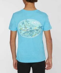 Best reviews of ✨ O'Neill Aqua & White Oasis Crewneck Tee - Boys 🛒
