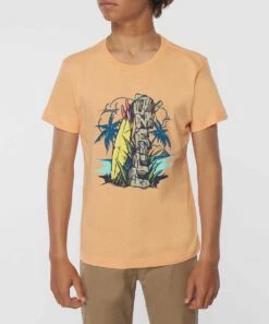 Best Pirce 🧨 O'Neill Peach & Blue 'O'Neill' Logo Cairn Rocks Crewneck Tee - Boys 😍