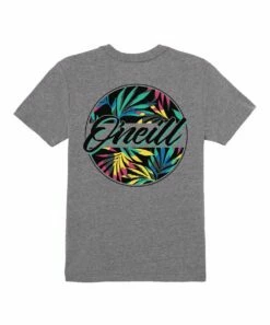 Deals 🔥 O'Neill Heather Gray & Blue 'O'Neill' Logo Incognito Crewneck Tee - Boys 🔔 -O'Neill Sales zu107969035 alt 3 tm1660679862