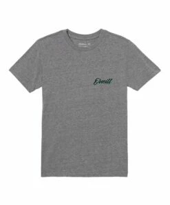 Deals 🔥 O'Neill Heather Gray & Blue 'O'Neill' Logo Incognito Crewneck Tee - Boys 🔔 -O'Neill Sales zu107969035 alt 4 tm1660679862