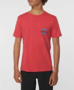 Cheap 🥰 O'Neill Dark Coral Swami Logo Crewneck Tee - Boys 👏 -O'Neill Sales zu111277777 alt 2 tm1671560778