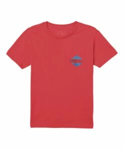 Cheap 🥰 O'Neill Dark Coral Swami Logo Crewneck Tee - Boys 👏 -O'Neill Sales zu111277777 alt 3 tm1671560778